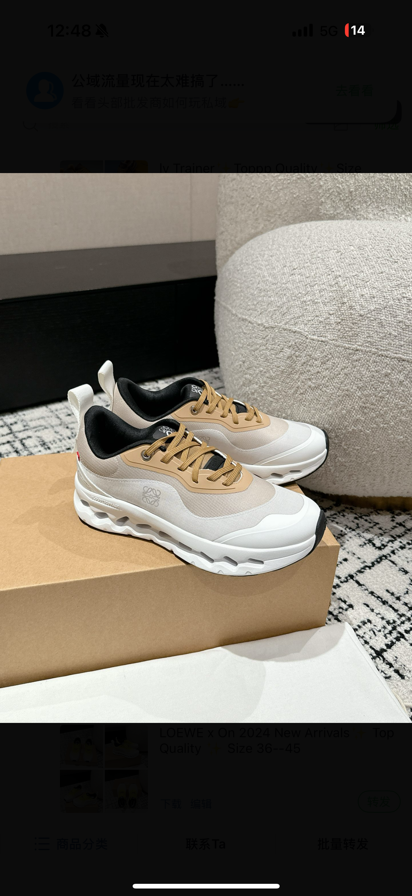 chaussures