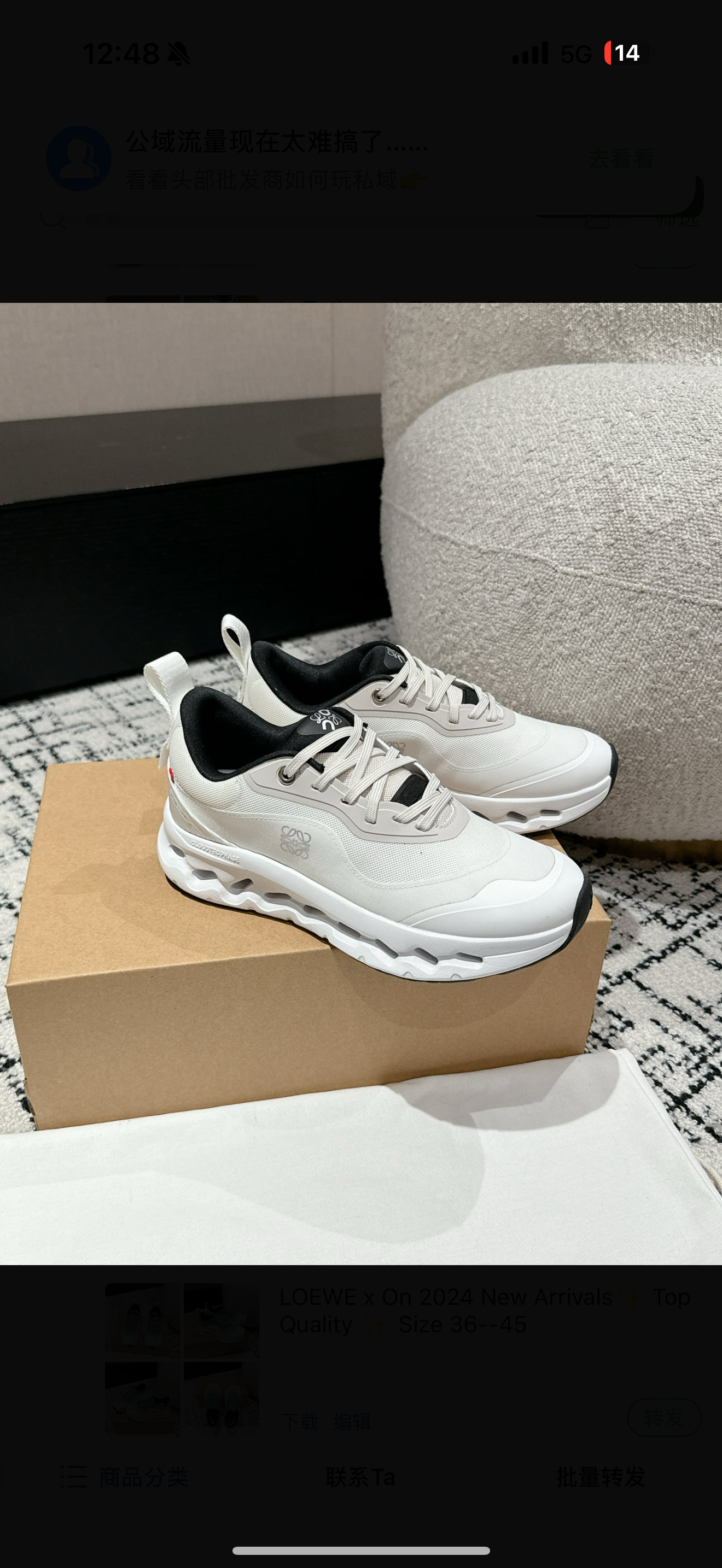 chaussures